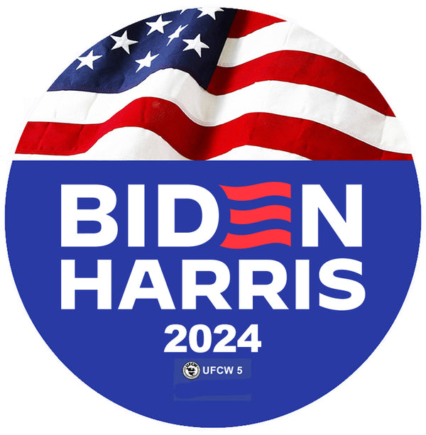 Biden-Harris for America Pin