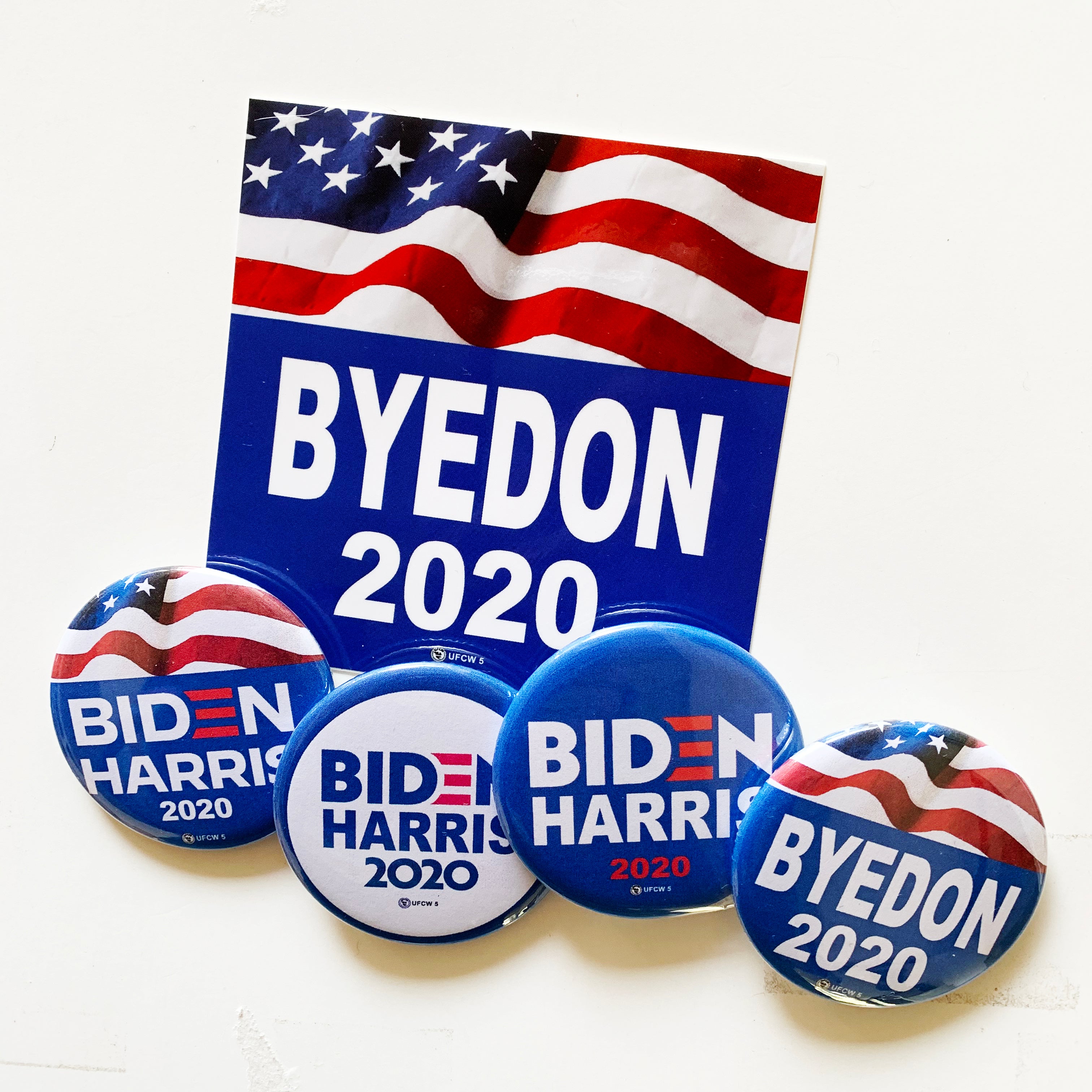 Biden Car Magnet