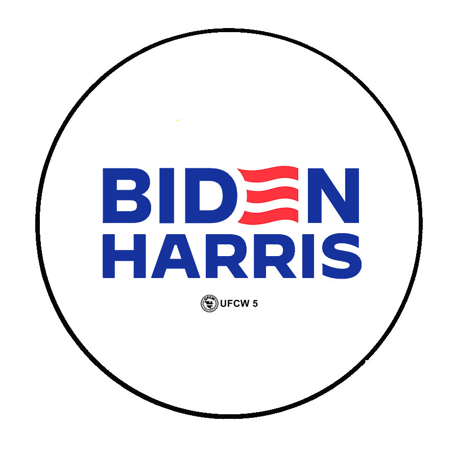 Biden-Harris 2024 Pin