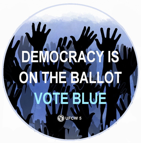 Democracy Is On The Ballot Campaign Pin
