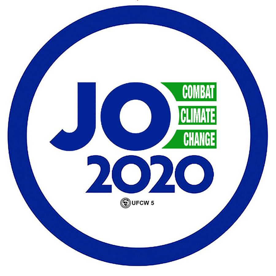 Joe2020-Environment Pin