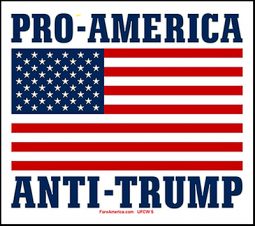 Pro-America, Anti-Trump (Tote)