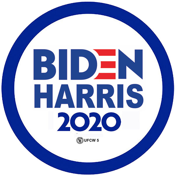 Biden-Harris 2020 Pin