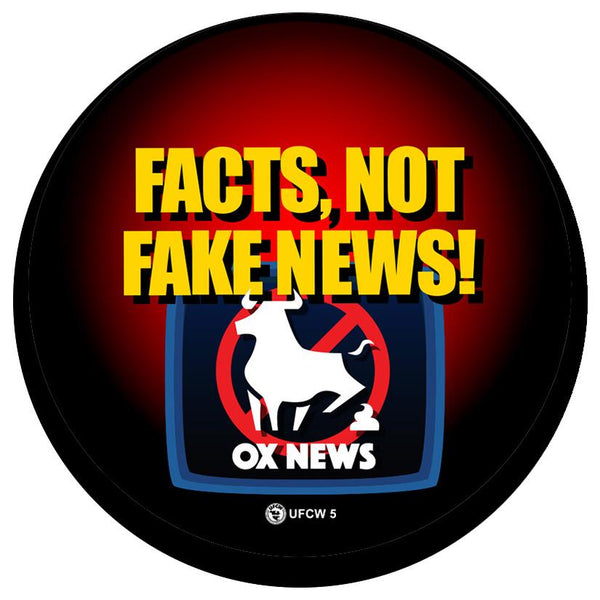 Facts Not Fake News Pin