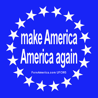 Make America America Again Magnet